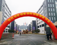 我公司又一力作，格莱特手机科技园食堂香蕉一级视频工程正式开业